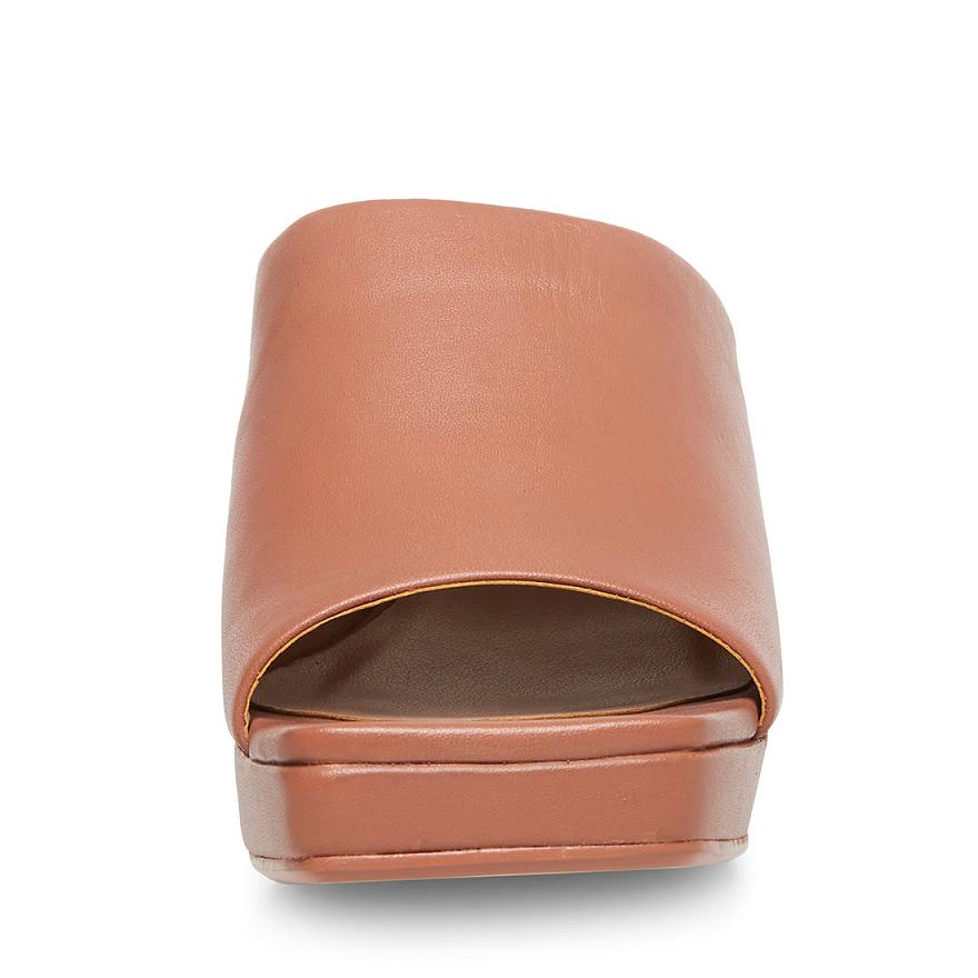 Steve Madden DEDICATE Női Mule Cipő Blush | 419IETQDY