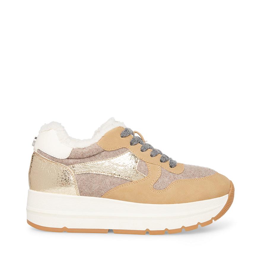 Steve Madden CLAY Sportcipős Női Sportcipő Barna Színes | 640AUCVRF