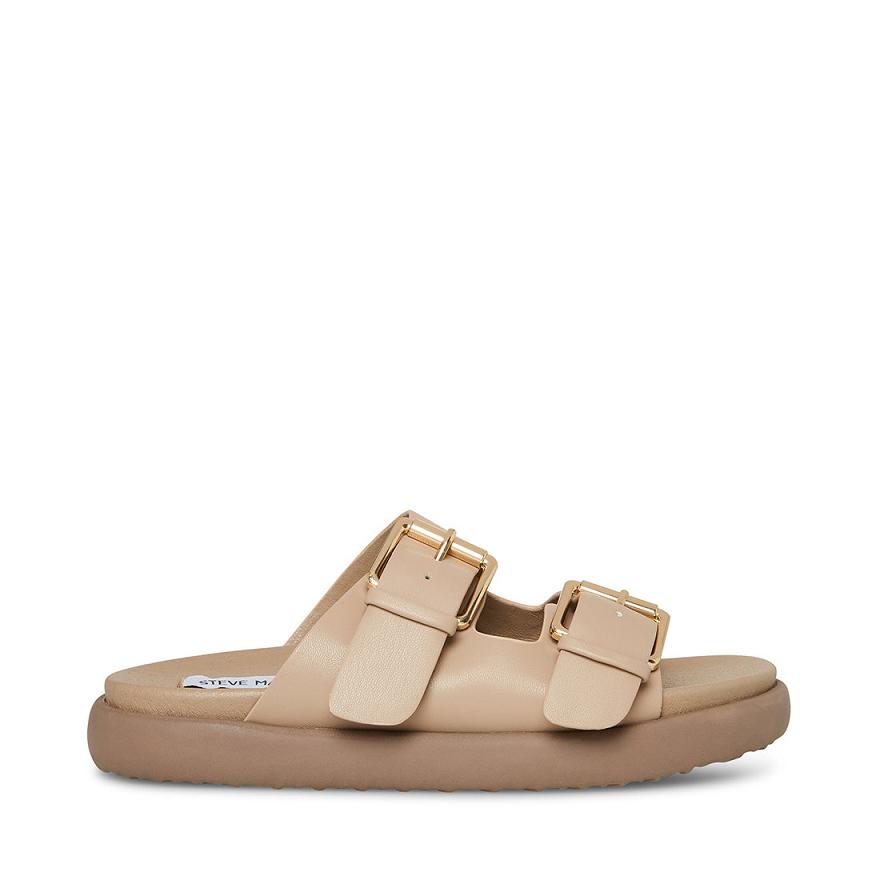 Steve Madden NEVARA Női Papucs Taupe | 192EHDIMQ